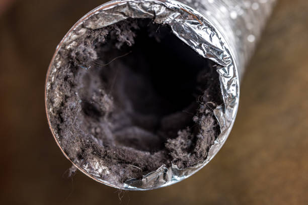 Best Air Duct Cleaning Near Me  in Farmingdale, NJ